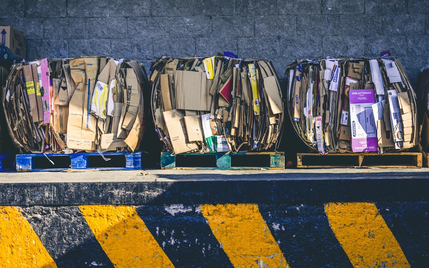 Nachhaltigkeit im Fokus: Verpackung der Zukunft
