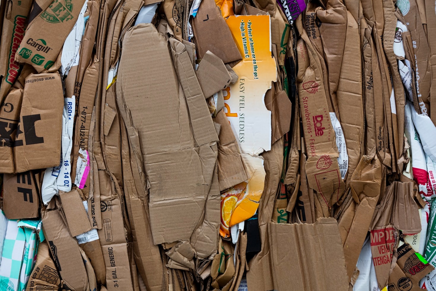 Technologien der Zukunft für umweltfreundliche Verpackungen
